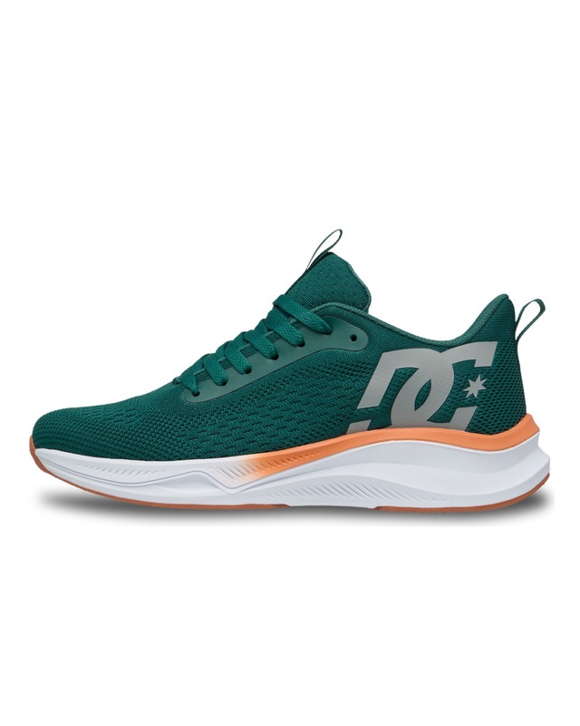 DC Shoes Sneaker »Roammax«