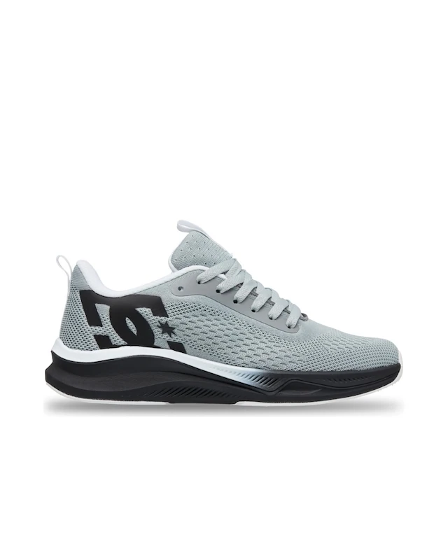 DC Shoes Sneaker »Roammax«