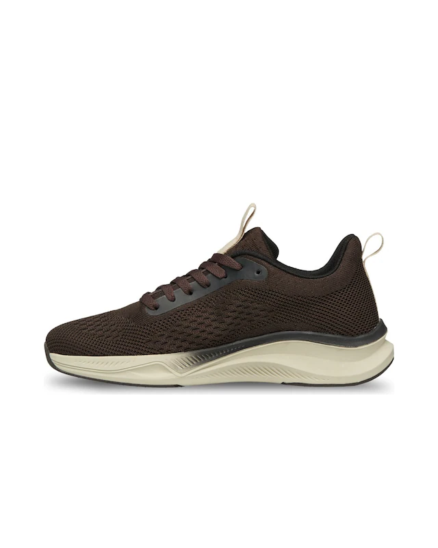 DC Shoes Sneaker »Roammax«