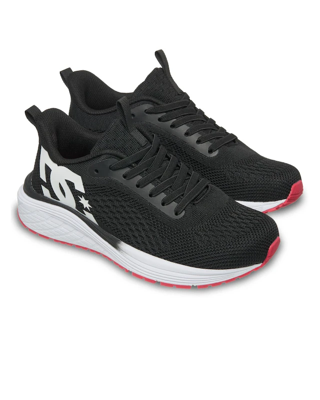 DC Shoes Sneaker »Roammax«