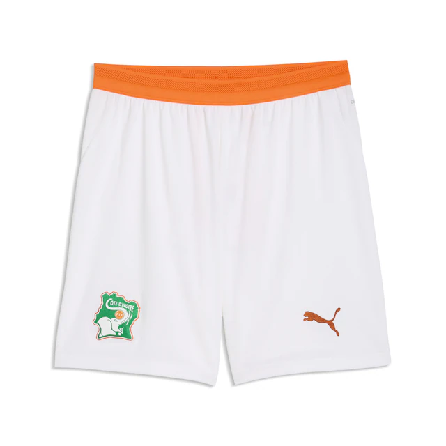 PUMA Sporthose »Elfenbeinküste Shorts Herren«
