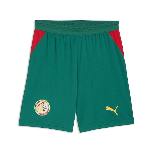 PUMA Sporthose »Senegal Shorts Herren«