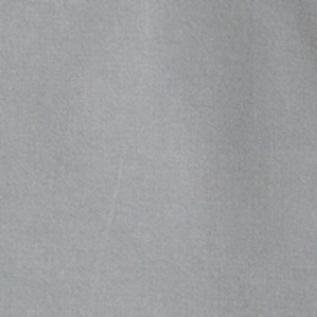 Cecil Shorts Middle Waist