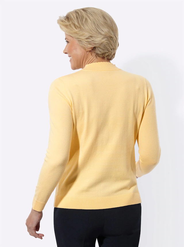 Classic Strickpullover »Stehkragen-Pullover«