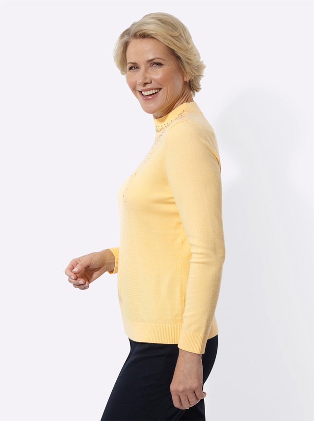 Classic Strickpullover »Stehkragen-Pullover«