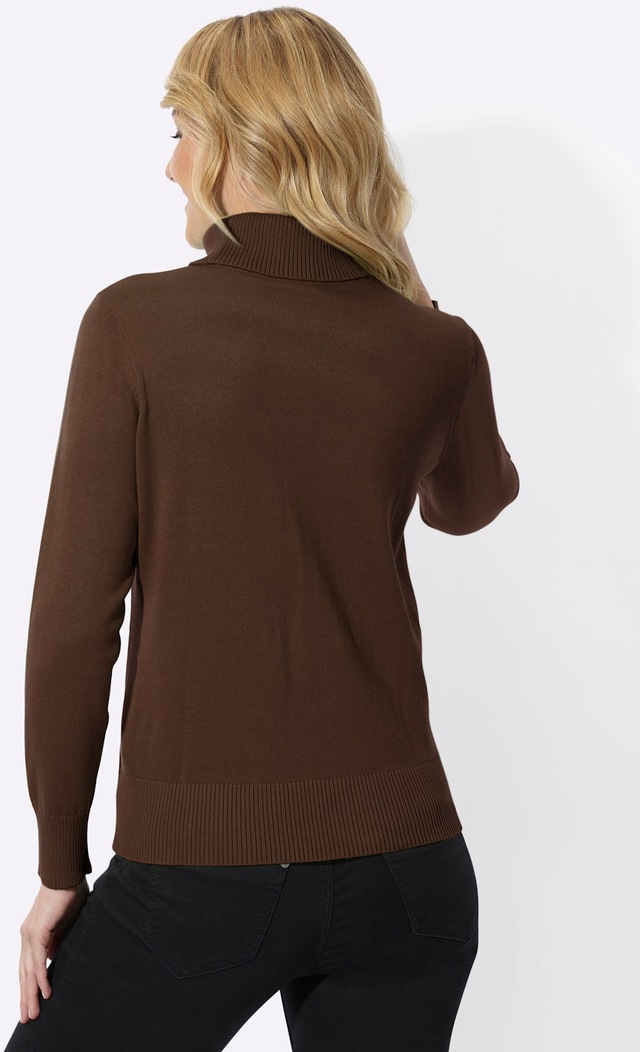 Classic Basics Rollkragenpullover »Rollkragen-Pullover«