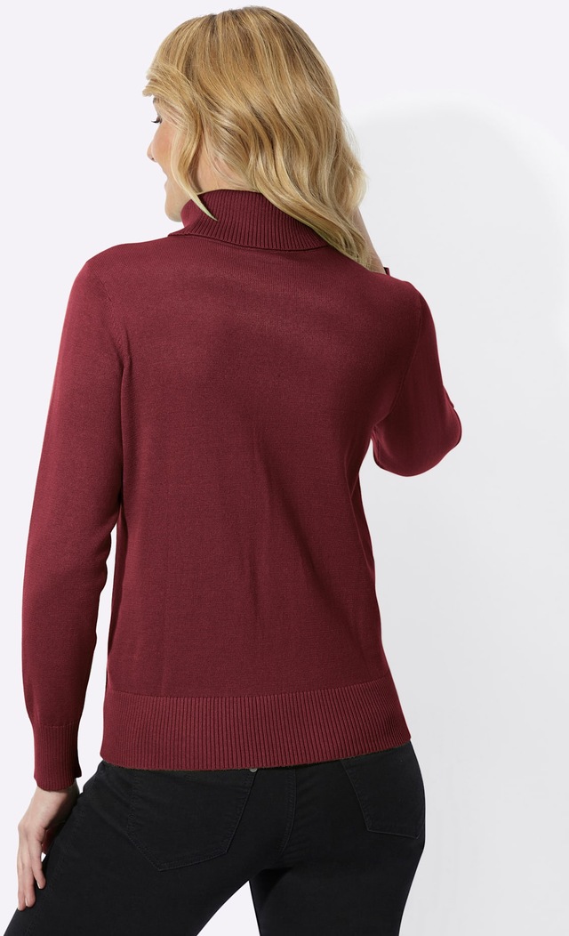 Classic Basics Rollkragenpullover »Rollkragen-Pullover«