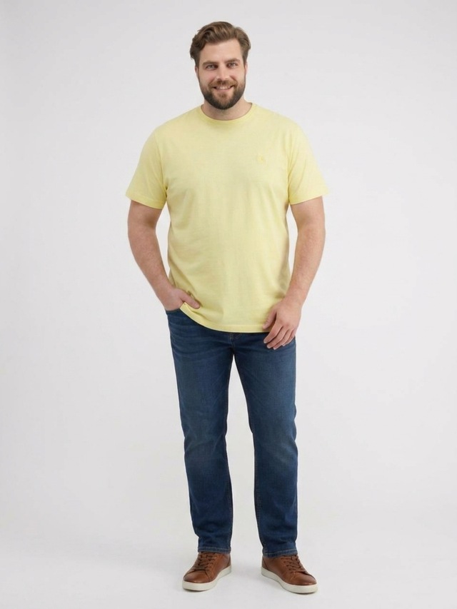 LERROS Rundhalsshirt »T-Shirt mit Rundkragen aus weicher Baumwolle, große Größen«