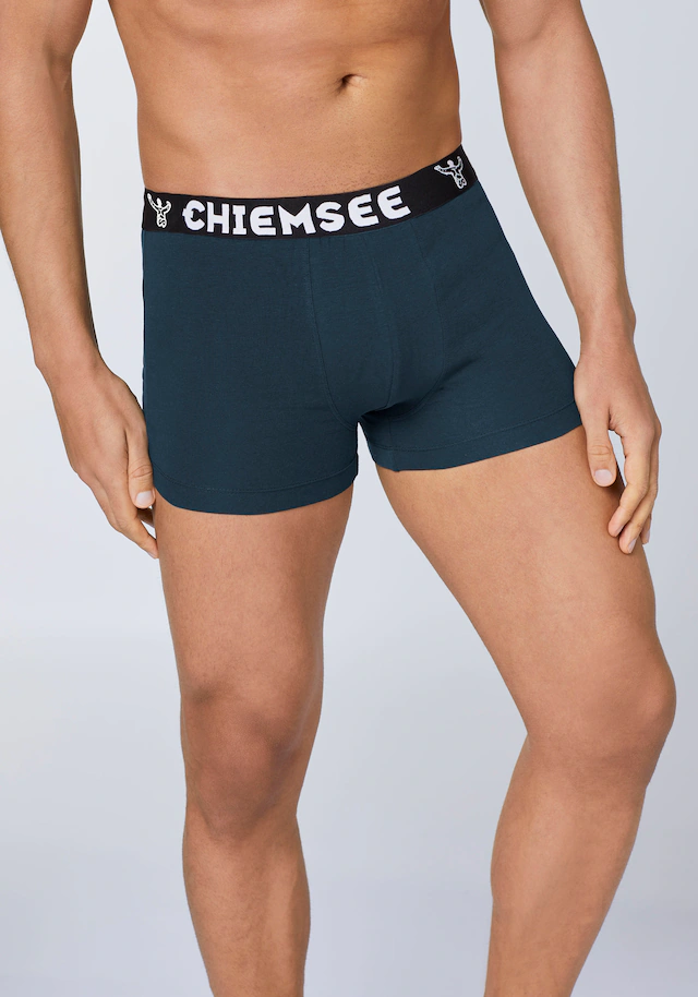 Chiemsee Retro Boxer im vorteilhaften 12er Pack