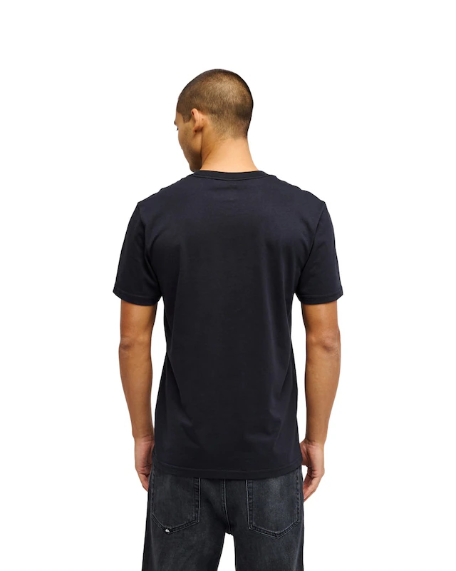 Quiksilver T-Shirt »Ev Vista«