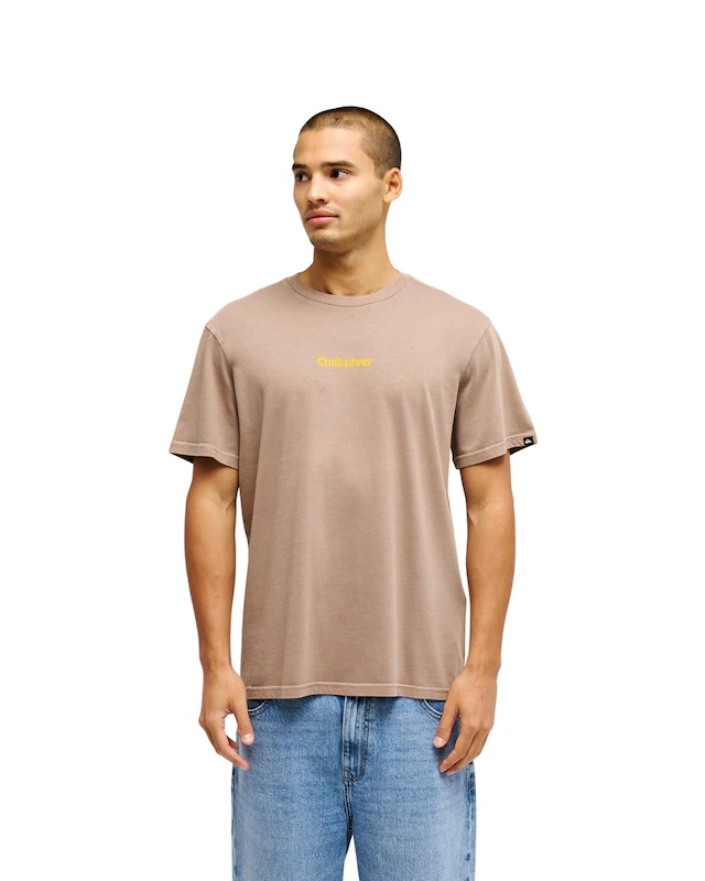 Quiksilver T-Shirt »Evo Rays«