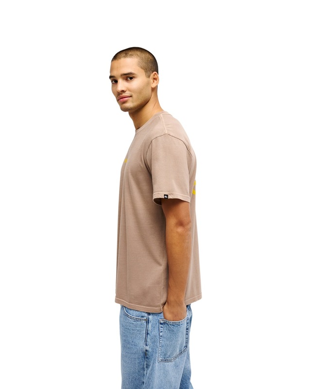 Quiksilver T-Shirt »Evo Rays«