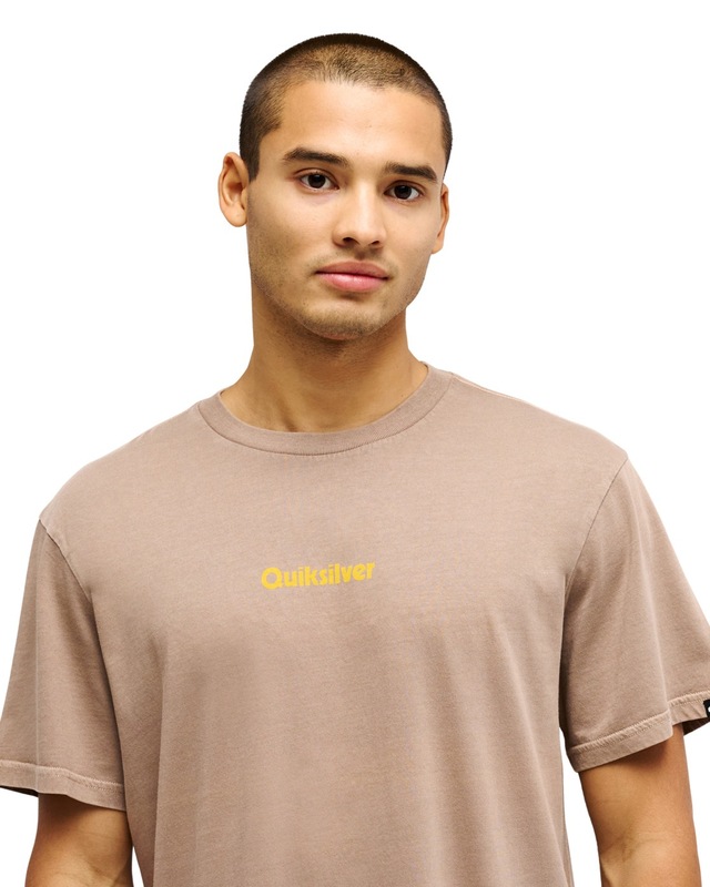 Quiksilver T-Shirt »Evo Rays«