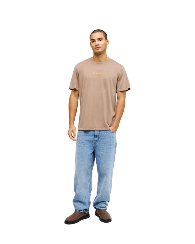 Quiksilver T-Shirt »Evo Rays«
