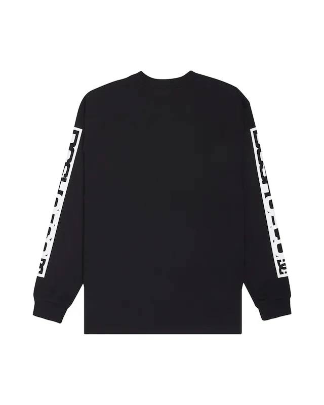 DC Shoes Langarmshirt »DC Echo«