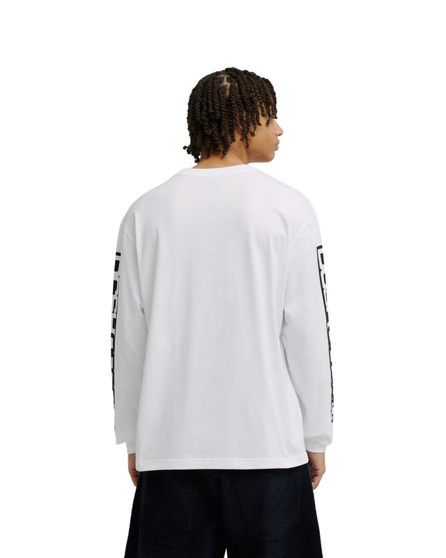 DC Shoes Langarmshirt »DC Echo«