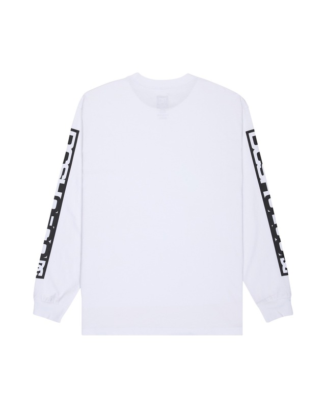 DC Shoes Langarmshirt »DC Echo«