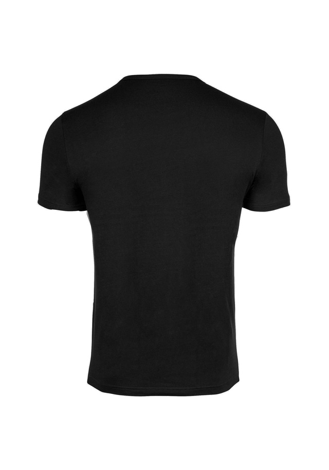 Emporio Armani T-Shirt »T-Shirt ESSENTIAL LOGOLABEL 2er Pack« 2