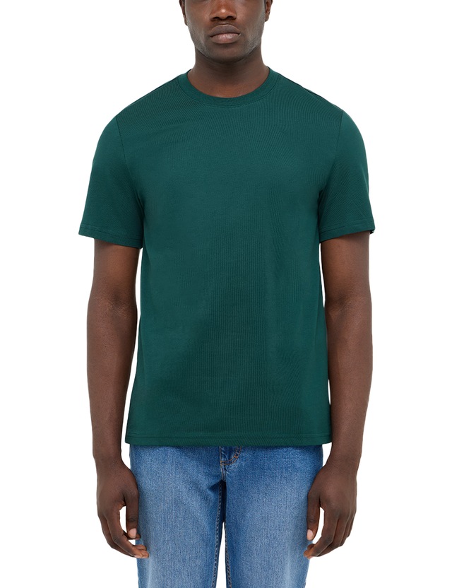 MUSTANG Kurzarmshirt »Herren Style Austin«