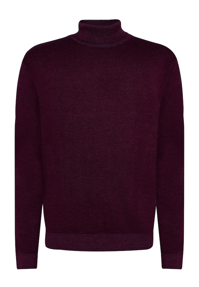 Pierre Cardin Strickpullover »Pierre Cardin Pullover« im unifarbenen Stil