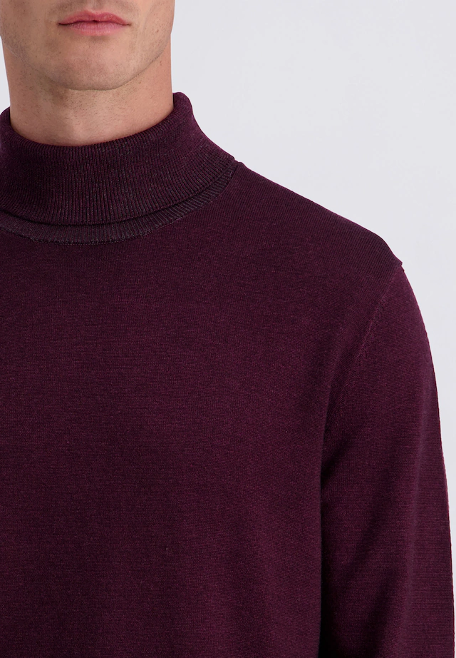 Pierre Cardin Strickpullover »Pierre Cardin Pullover« im unifarbenen Stil