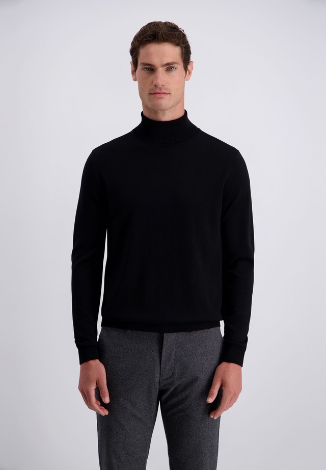 Pierre Cardin Strickpullover »Pierre Cardin Pullover« im unifarbenen Stil