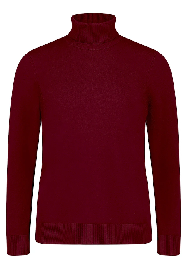 Betty Barclay Strickpullover »Damen langarm« 1