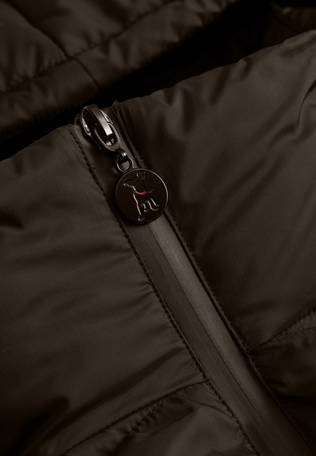 Frieda & Freddies Winterjacke »Frieda & Freddies Steppjacke mit Kapuze«