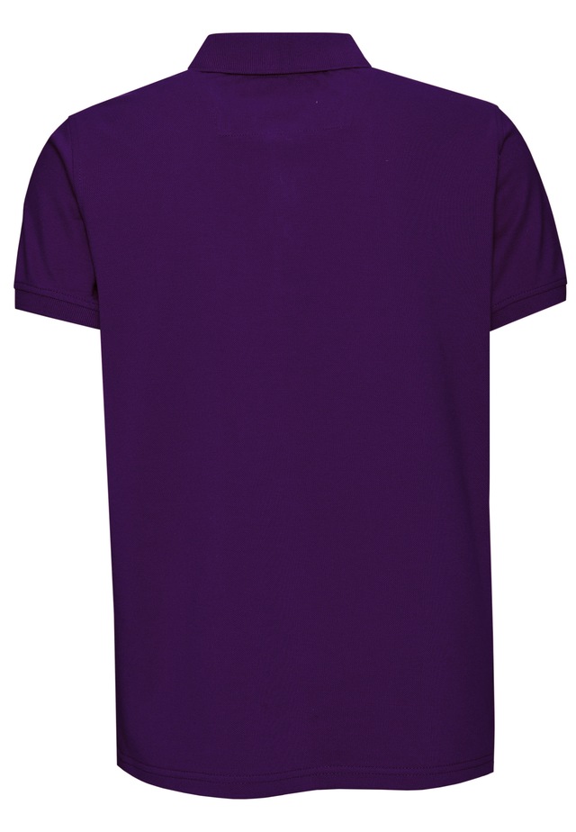 Rusty Neal Poloshirt »Uni« im klassischen Design