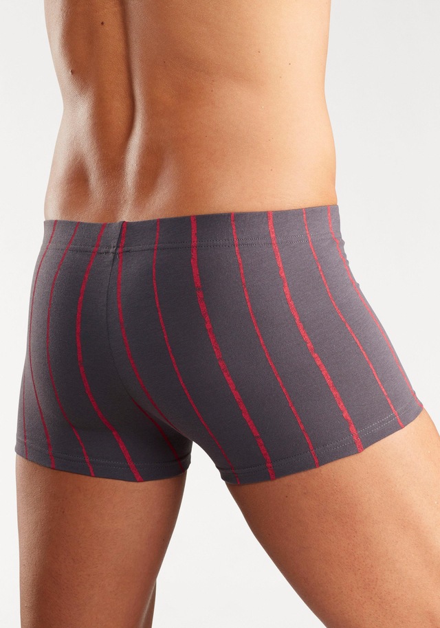 H.I.S Boxer »Boxershorts für Herren« Packung, 5 Stk. aus Baumwoll-Stretch