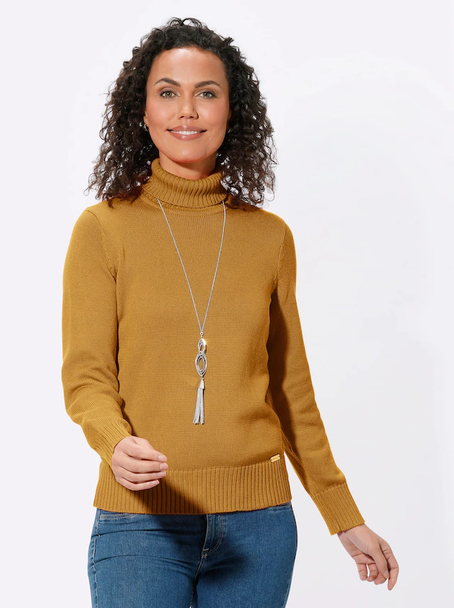 Casual Looks Rollkragenpullover »Pullover«