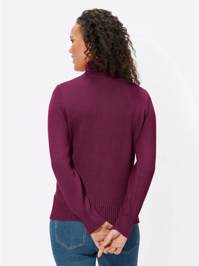 Casual Looks Rollkragenpullover »Pullover«