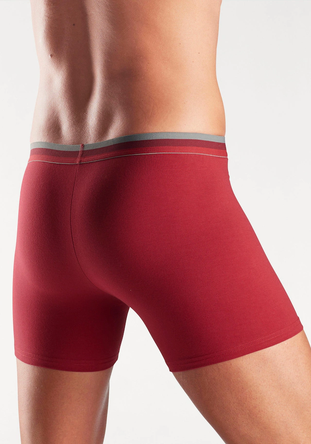 Bench. Langer Boxer Packung, 3 Stk. Unterhosen mit elastischem Bund und Logodruck auf dem Bein