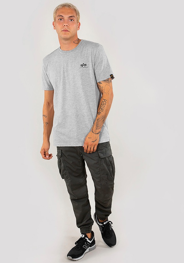 Alpha Industries Rundhalsshirt »BASIC T SMALL LOGO« Baumwolle, regular fit