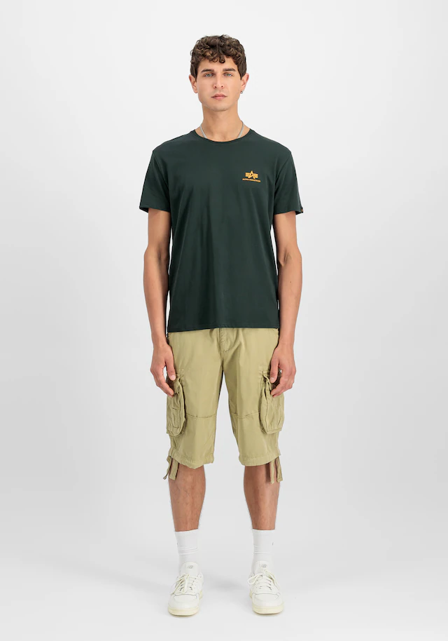 Alpha Industries Rundhalsshirt »BASIC T SMALL LOGO« Baumwolle, regular fit