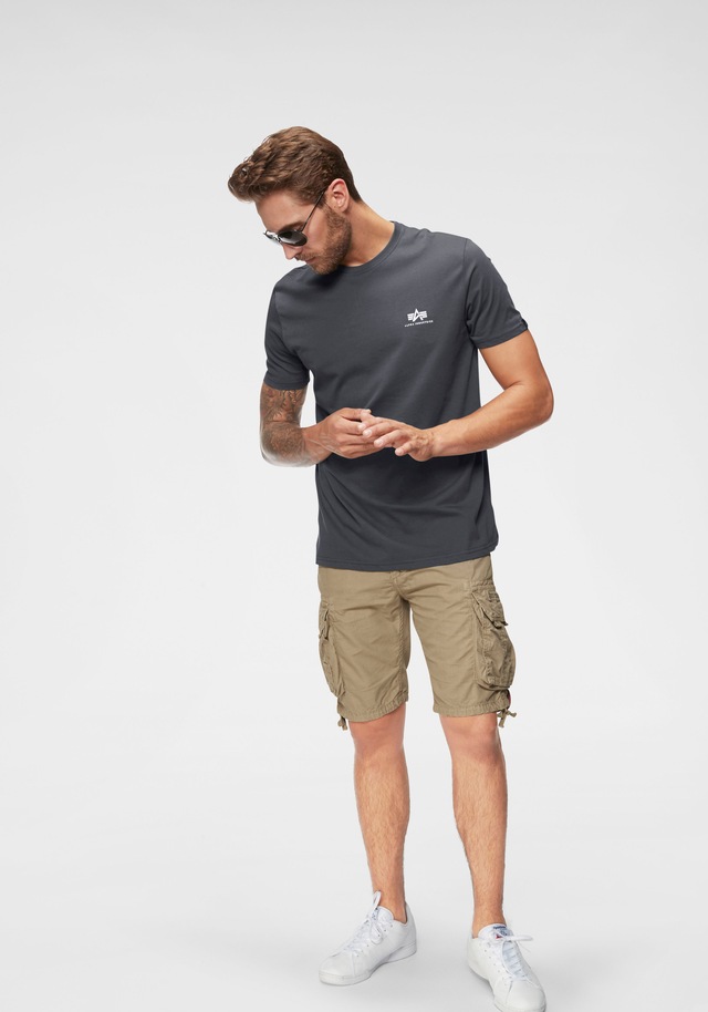 Alpha Industries Rundhalsshirt »BASIC T SMALL LOGO« Baumwolle, regular fit