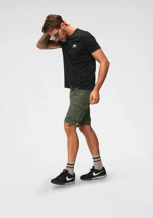 Alpha Industries Rundhalsshirt »BASIC T SMALL LOGO« Baumwolle, regular fit