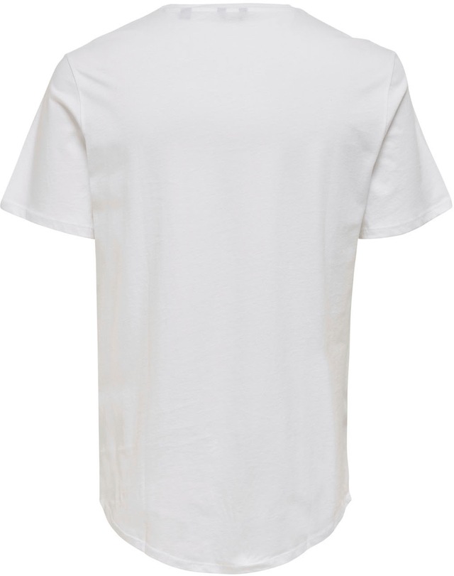 ONLY & SONS Rundhalsshirt »ONSMATT LONGY SS TEE NOOS«